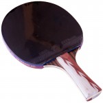 729 Super Color 6 Stars – Table Tennis Bat